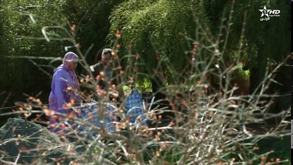 Kloub Taiha - Ep 7 - قلوب تائهة الحلقة