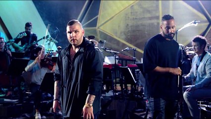 Fler feat Jalil - Paradies - Vibe