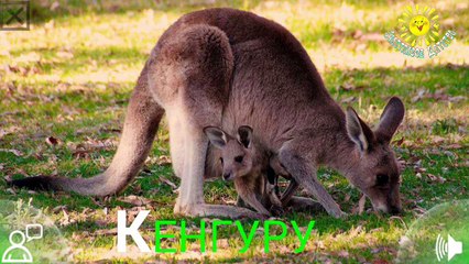 Животные их голоса и название. Мультик про животных для малышей 2 лет