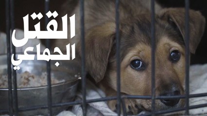 القتل الجماعي