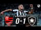 Flamengo 0 x 1 Botafogo - FOGÃO NA FINAL - Gol & Melhores Momentos - Campeonato Carioca 2018