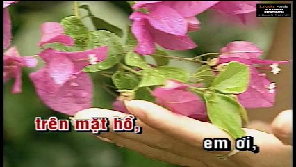 Thà Làm Hạt Mưa Bay - Loan Châu