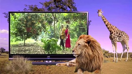 MỘNG PHÙ HOA TẬP 17 - VTV3 [ Official ] Cảm xúc Của Ba Trang