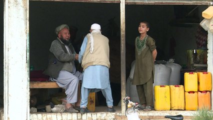 Cuando los camellos exprimen el aceite de sésamo en Afganistán