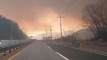 [속보] 강원도 고성군 야산 큰불...강풍 타고 확산 / YTN