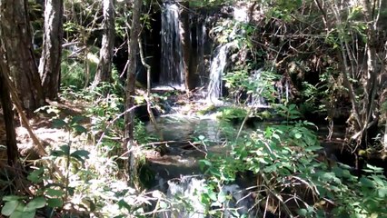 los sonidos de la naturaleza,con musica de fondo -nature sounds-