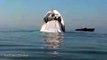 Luxury superyacht $6m sinking off Greek island of Mykonos