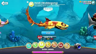Hungry Shark World - New M Shark - Heidi (Wobbegong)