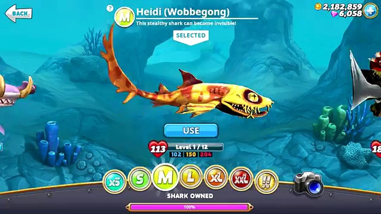 Hungry Shark World - New M Shark - Heidi (Wobbegong)