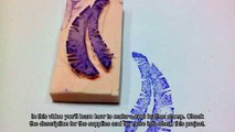 Make a Cool Feather Stamp - DIY Crafts - Guidecentral