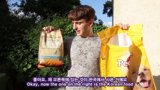 영국 강아지가 한국 강아지 간식 처음 먹어본 반응! (174/365) British dog tries Korean dog food!