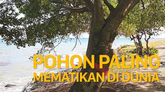 Kalau Makan Buah Mirip Apel Ini, Manusia Bisa Langsung Tewas di Tempat