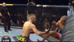 Conor McGregor vs TITANS of MMA (Biggest MMA Fighters of All Time)