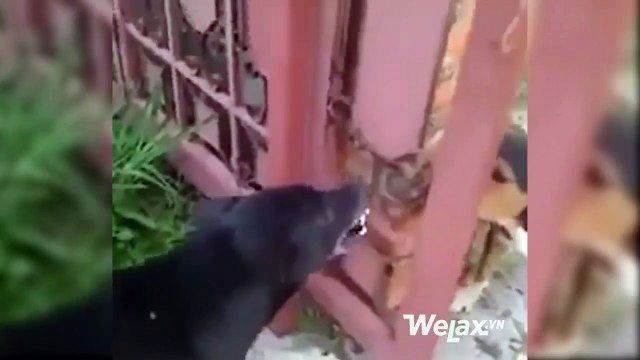 cuoc chien khong co hoi ket