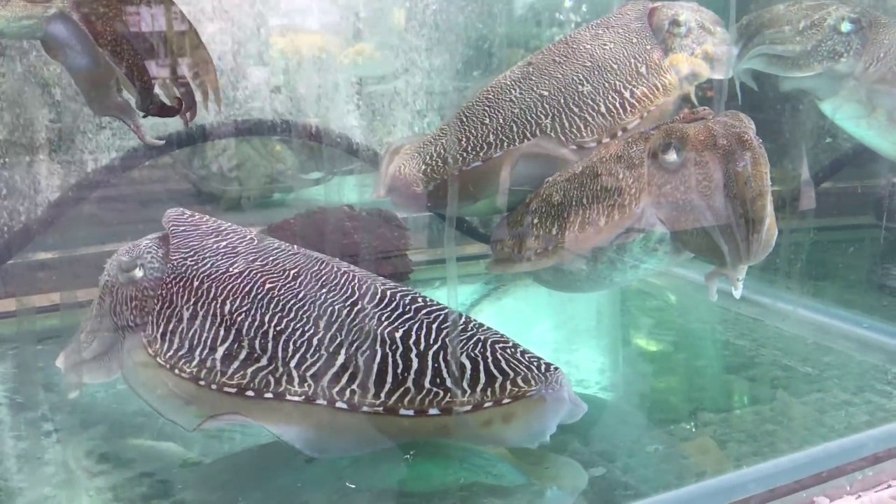 Seafood in Sai Kung, Hong Kong