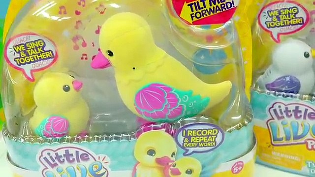Little Live Pets Duck Mom & Baby - Unboxing 2 Chocolate Surprise Eggs + Shopkins Blind Bag