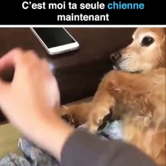 "Tu ne touches pas !"