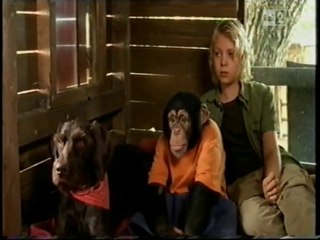 Il nostro amico Charly 16x16 - Il buon samaritano