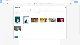 Google Docs - Images & Drawings