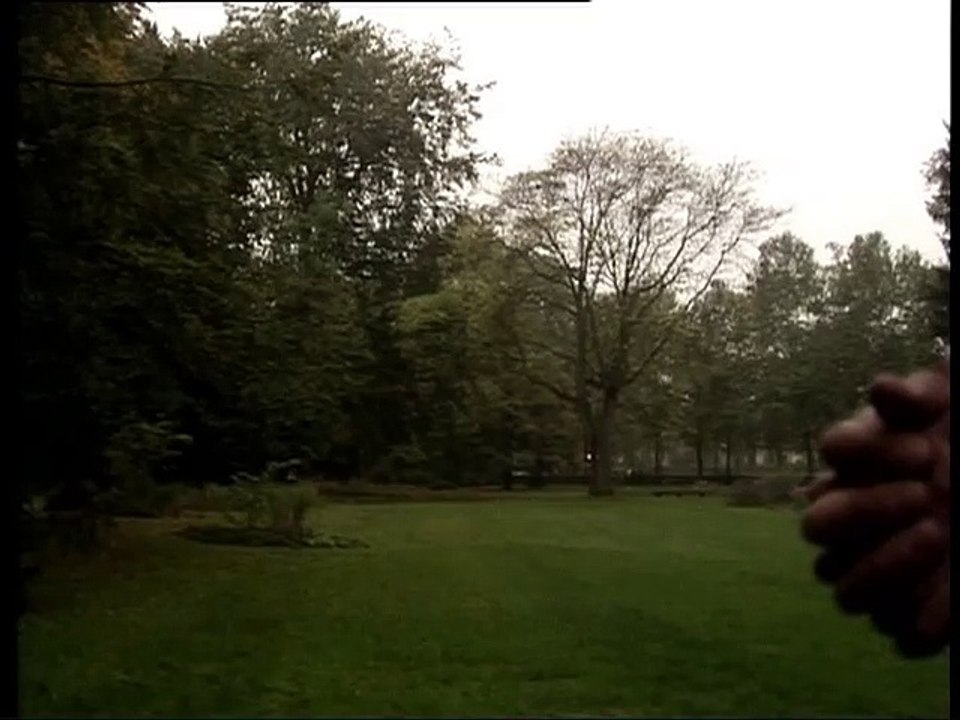 Feu de tout bois