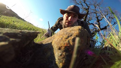 RISKY! Catching a Rattlesnake by its Tail