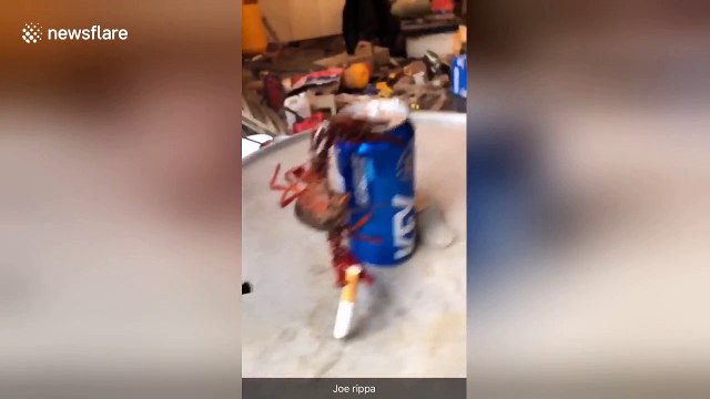 Crawfish goes viral for smoking cigarette while holding onto beer can