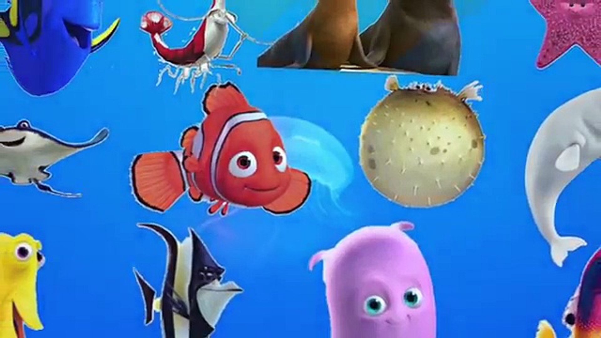 Learn Sea Animals Water Animals Names And Sound Real Ocean Sound Animal Video For Kids Part 4 Video Dailymotion