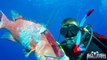 Glock-Fishing Underwater | 9mm Handgun Shooting Lionfish |Episode 1