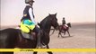 Desert stallion race pushes riders' limits [No Comment]