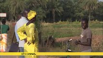 22 people arrested in connection with Casamance murders