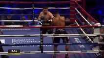 Arsen Goulamirian vs. Ryad Merhy 2018-03-24