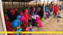'Somali refugees are not being coerced to go home' - U.N