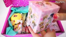 Doki Doki Crate February 2016 Unboxing - Monthly Kawaii Subscription Box