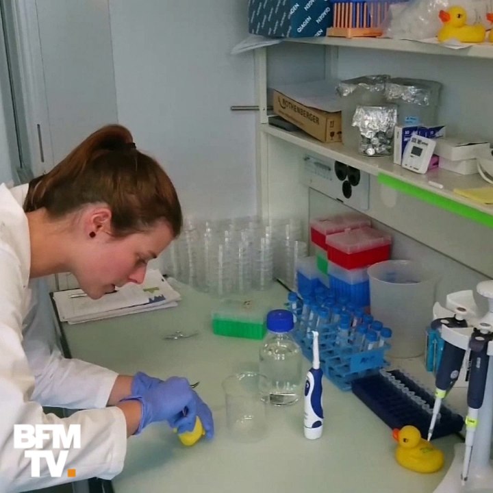 Les canards en plastique, de véritables nids à microbes