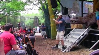 TREX videos - Dallas Zoo Dinos Pt3