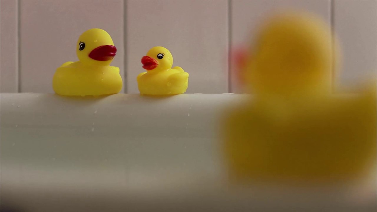 Attention, les canards de bain sont des nids à bactéries