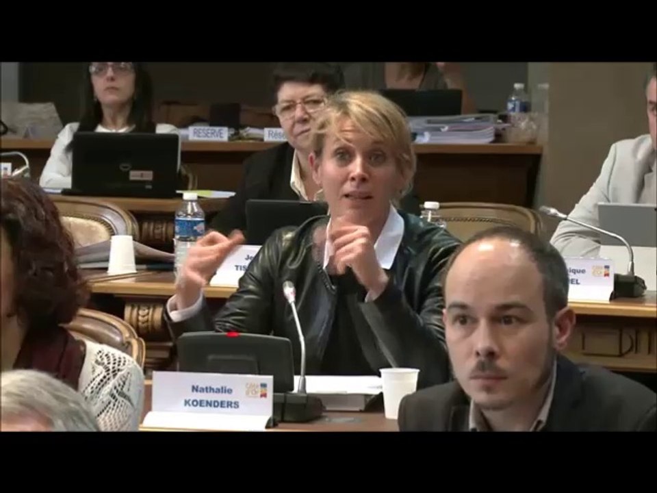 Nathalie KOENDERS. Accueil et suivi des Mineurs non-accompagnés (MNA). Session du 26 mars 2018