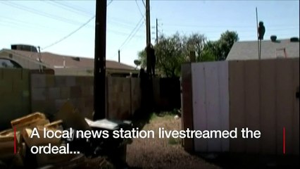 Gypsy was stuck on this power line for three days