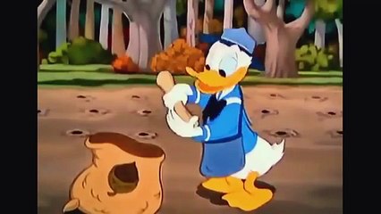 Donald duck & Chip and Dale Winter storage