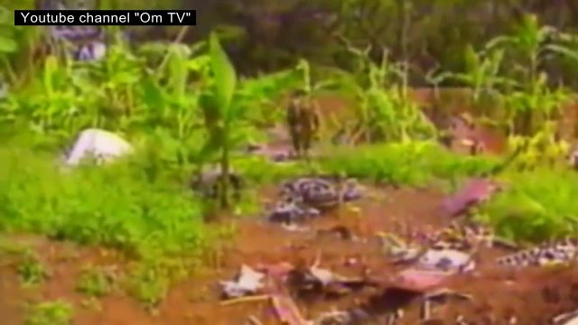 Как федеральные СМИ делают из людей животных