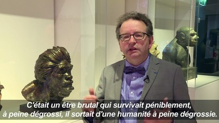 L'homme de Néandertal, notre cousin pas si lointain