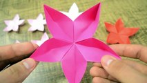 Origami: Flor Sakura - Instruções em Português BR