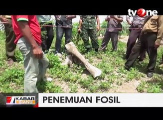 Penemuan Fosil Gajah Purba