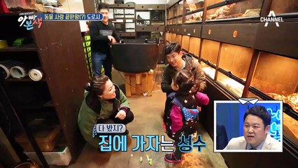 강아지를 키우기 위한 도로시의 무한 애교♥ "플리즈으~"