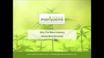 Does the Weed Industry Need More Diversity? MedicalMarijuana.com