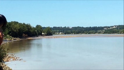 LE MASCARET A ST PARDON SUR LA DORDOGNE LE 20 AOUT 2017