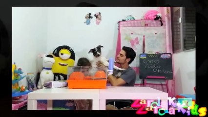 El primer año de nuestro cachorro