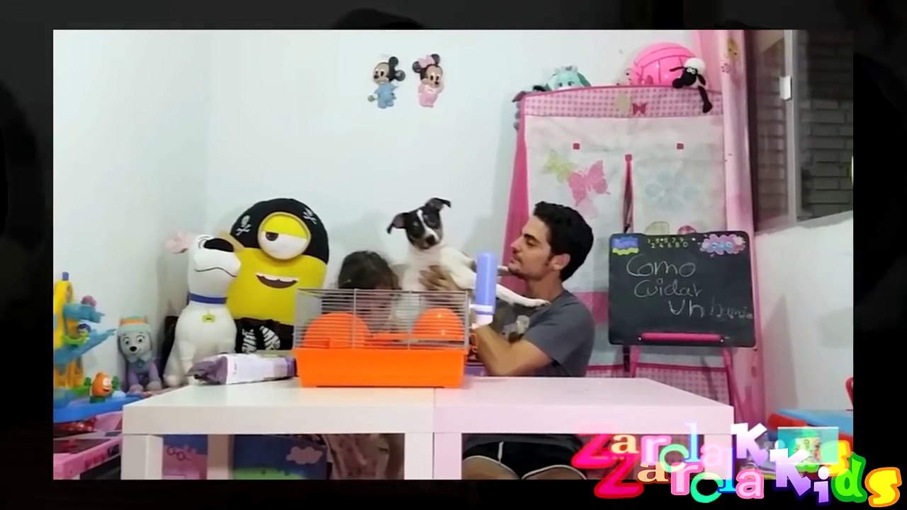 El primer año de nuestro cachorro