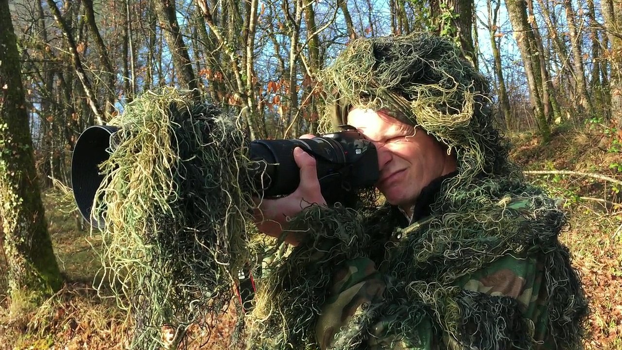 Une matinée dans les pas d'un photographe animalier