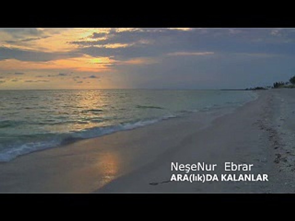 NeşeNur Ebrar - ARA(lık)DA KALANLAR
